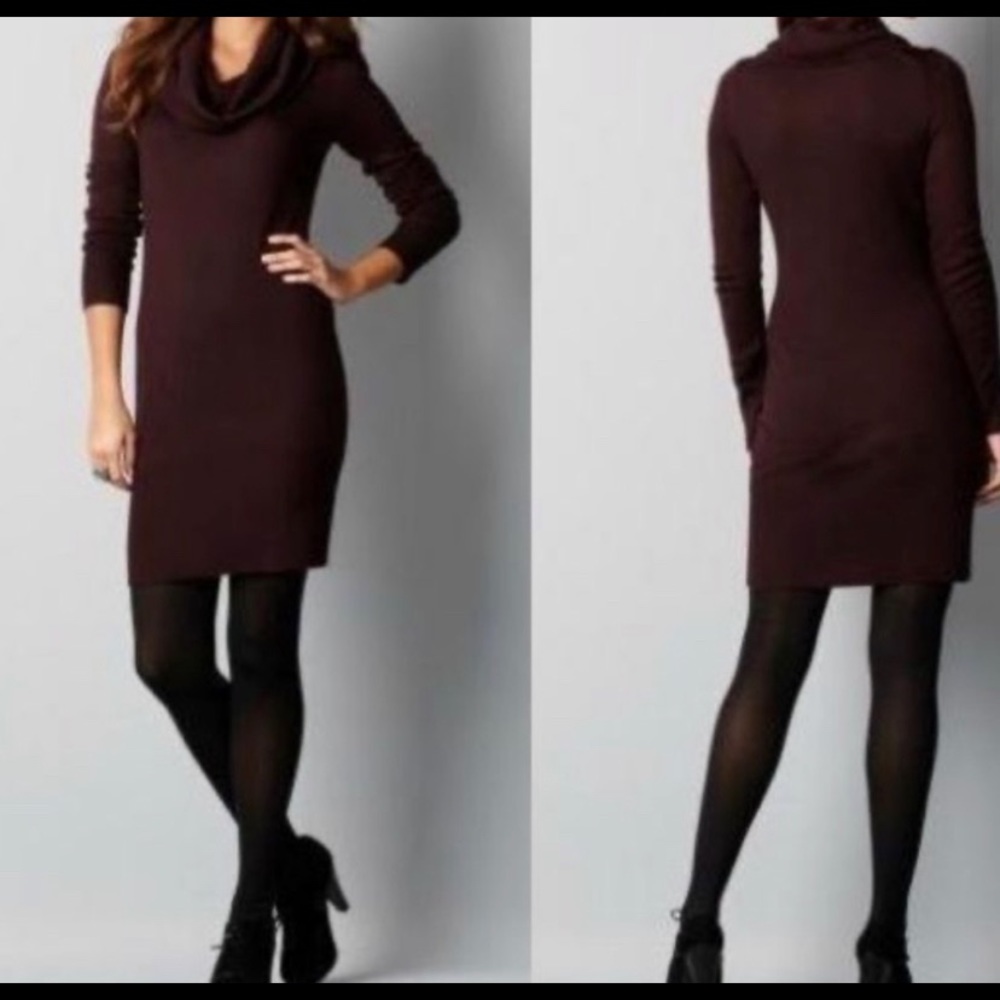 Wool Cowl Neck Sweater Dress